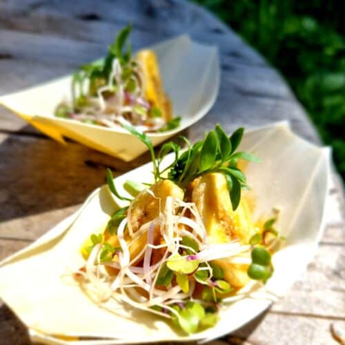 Makrel i coconut curry med chips fra haven