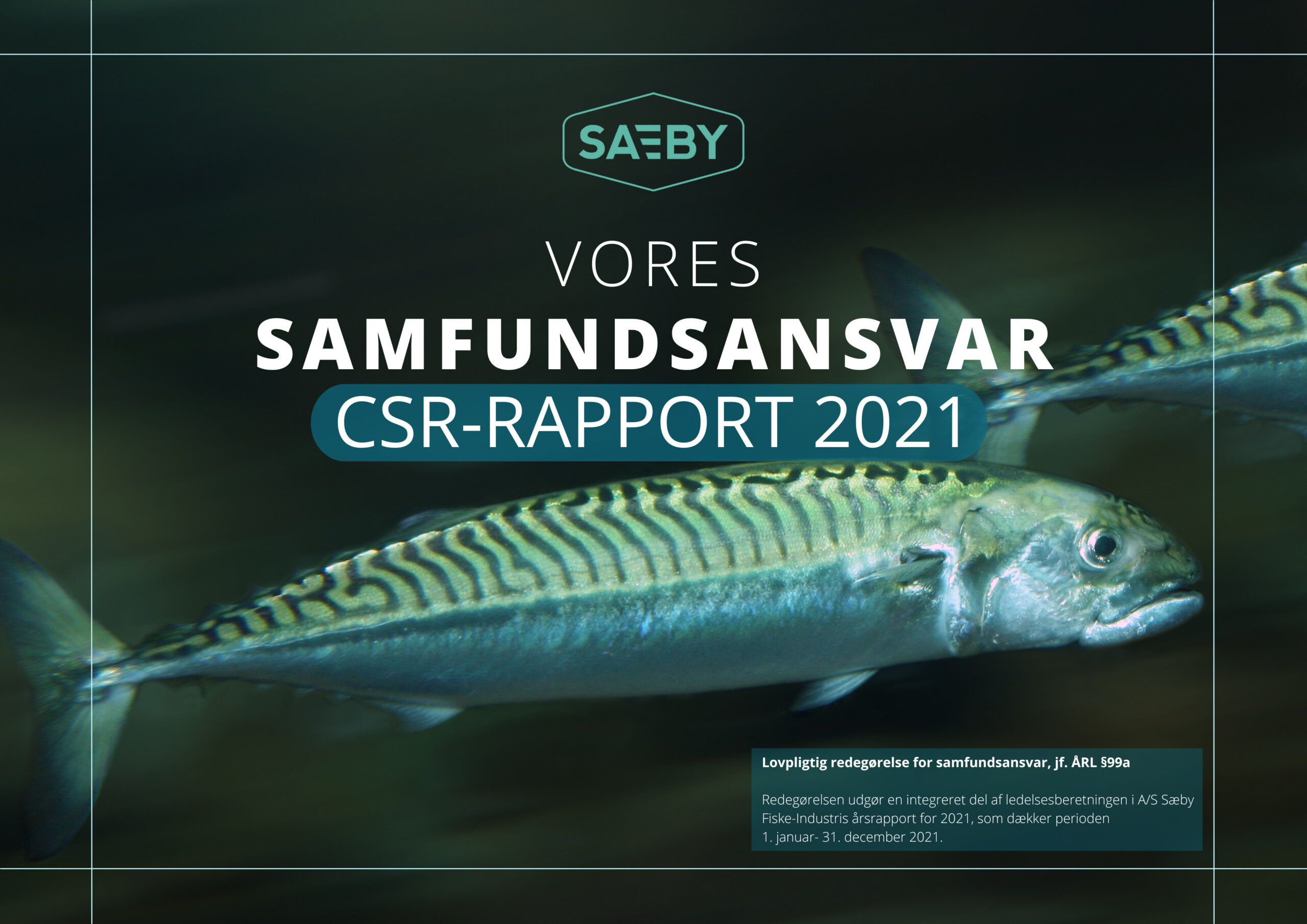 CSR RAPPORT 2021